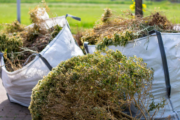 Best Electronics Removal Services  in Boston, GA